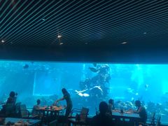 -海棠湾洲际-涛·海底餐厅·美人鱼·自助餐·海底隧道