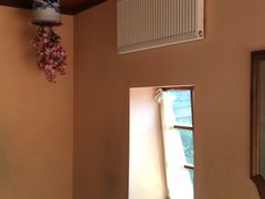 -金山农民画村-枫泾波兰倒置屋