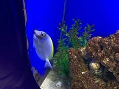 -沙沙哗啦海洋馆(华宇百花谷店)