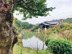 -黄陂区野村谷景区