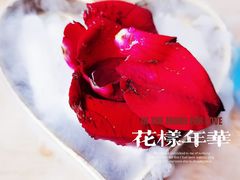 -ins森林童话餐厅coffee&bistro