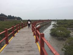 -北海金海湾红树林生态旅游区