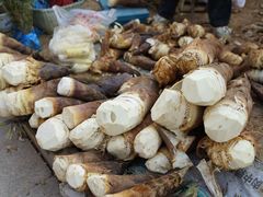 -长兴慧子土特产茶行