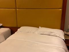 -圣爵菲斯大酒店(长沙世界之窗店)