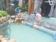 -水王国温泉水世界