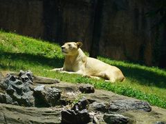 -杭州野生动物世界