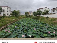 -安徽八里河旅游区