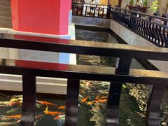 -龙悦湾酒家·八阵鱼生·渔人码头店