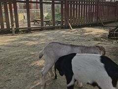 -国色天乡三期陆地乐园