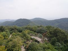 -老山国家森林公园
