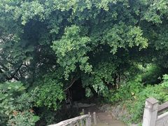 -龙泉洞(沙坪坝区)