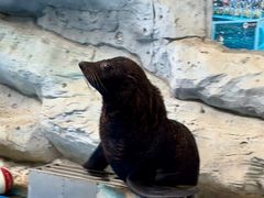 -泉州海丝野生动物世界