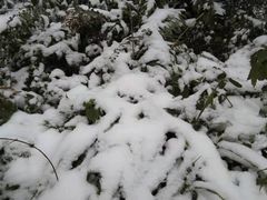 -金堂县云顶石城风景区