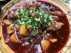 -青城甲(青城山店)