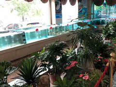 -香融府·烤鸭·家常菜(马家堡路店)