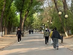 -二一九公园