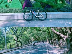 -红花湖景区
