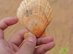 -青岛银沙滩