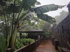 -三亚亚龙湾人间天堂鸟巢度假村