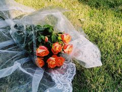 -杭州城北体育公园