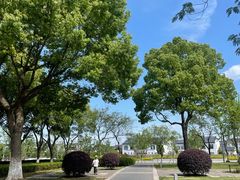 -九里河湿地公园