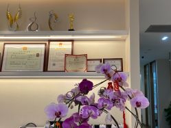 点击看大图 -丽美妍医疗美容·皮秒·立体分层抗衰