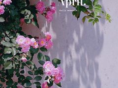 -郑州中国绿化博览园