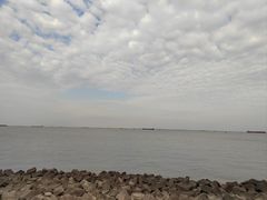 -上海滨江森林公园