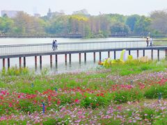 -海珠湖公园