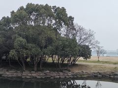 -蠡湖大桥公园