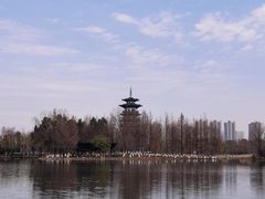-洋湖国家湿地公园