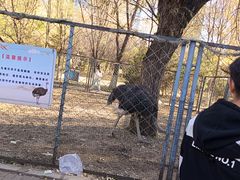 -长白岛森林公园