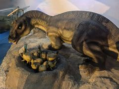 -国家自然博物馆