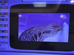 -北京观赏动物医院·24小时大型综合·猫专科·异宠专科