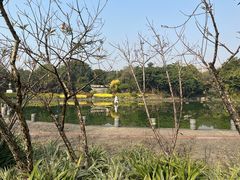 -南宁南湖公园