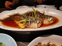 -前海沿·青岛菜(大拇指广场石老人店)