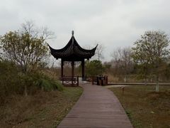 -南湖湿地公园