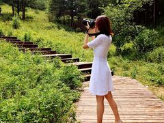 -塞罕坝国家级自然保护区