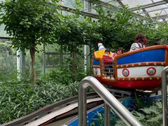 -南宫五洲植物乐园