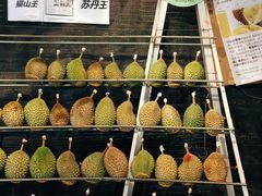 -都念榴莲·城市榴莲