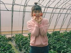 -大连北马山庄