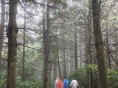 -东白山