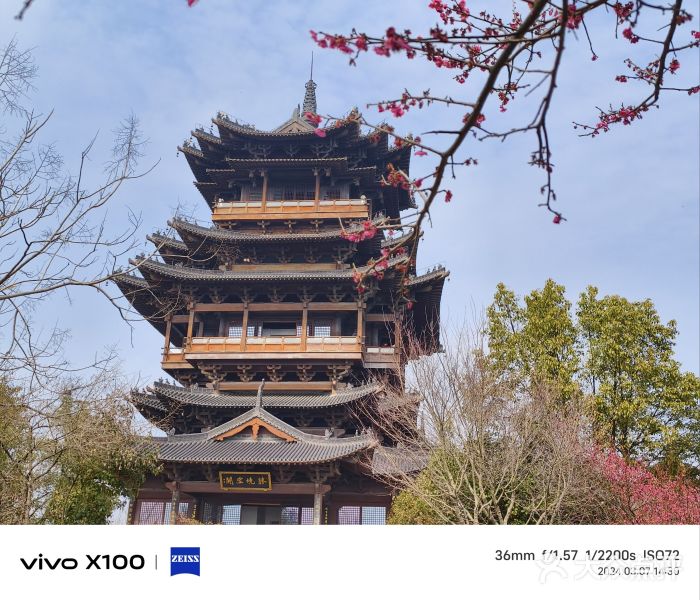 杭州半山国家森林公园图片