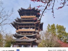 -杭州半山国家森林公园