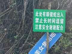 -西双版纳基诺山寨