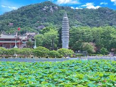 -南普陀素菜馆