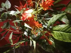 -钱小奴创意自助餐厅·原切谷饲安格斯畅吃(苏州昆山招商花园城店)