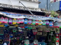 -溪岸路花鸟市场