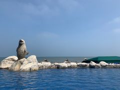 -渔岛海洋度假区