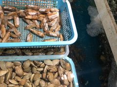 -鑫悦楼煎蟹·16年海鲜大排档